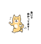 柴犬の柴太郎（個別スタンプ：9）