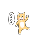 柴犬の柴太郎（個別スタンプ：16）