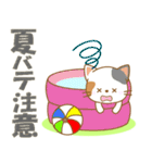 にゃんこ日和(三毛猫)①-toYvu--（個別スタンプ：39）