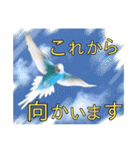 お花と小鳥♡日常会話.丁寧.敬語.気遣い2（個別スタンプ：5）