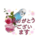 お花と小鳥♡日常会話.丁寧.敬語.気遣い2（個別スタンプ：9）