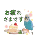 お花と小鳥♡日常会話.丁寧.敬語.気遣い2（個別スタンプ：10）