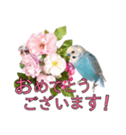 お花と小鳥♡日常会話.丁寧.敬語.気遣い2（個別スタンプ：22）