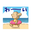 トイプーのぷう太郎 夏と雨（個別スタンプ：5）