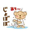 トイプーのぷう太郎 夏と雨（個別スタンプ：10）