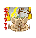 トイプーのぷう太郎 夏と雨（個別スタンプ：34）