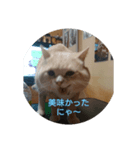 足長マンチカン三成の日常生活パート3（個別スタンプ：2）