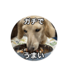 ノアちゃんと日常生活をおくれるスタンプ（個別スタンプ：12）