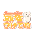 ネコたちと日常言葉【でか文字】（個別スタンプ：19）