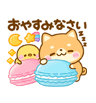 豆柴日和♡sweets（個別スタンプ：23）