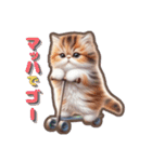 猫づくし①（個別スタンプ：20）