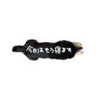 犬似の狸（個別スタンプ：21）