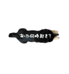 犬似の狸（個別スタンプ：22）