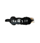 犬似の狸（個別スタンプ：24）