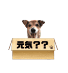 あんちゃんスタンプ6（個別スタンプ：14）