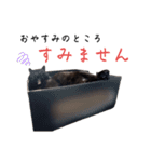 シン・クロ吉（敬語多め）（個別スタンプ：7）