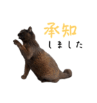 シン・クロ吉（敬語多め）（個別スタンプ：8）