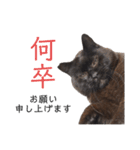 シン・クロ吉（敬語多め）（個別スタンプ：11）