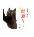 シン・クロ吉（敬語多め）（個別スタンプ：22）
