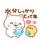 夏の気遣い♡ねこねこにゃんこ（個別スタンプ：6）