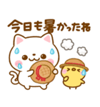 夏の気遣い♡ねこねこにゃんこ（個別スタンプ：8）