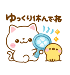 夏の気遣い♡ねこねこにゃんこ（個別スタンプ：11）