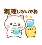 夏の気遣い♡ねこねこにゃんこ（個別スタンプ：12）