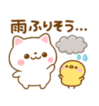 夏の気遣い♡ねこねこにゃんこ（個別スタンプ：18）