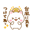 夏の気遣い♡ねこねこにゃんこ（個別スタンプ：21）