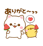 夏の気遣い♡ねこねこにゃんこ（個別スタンプ：24）