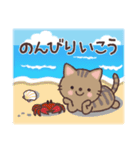 ねこたちの夏スタンプ（個別スタンプ：5）