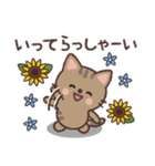 ねこたちの夏スタンプ（個別スタンプ：13）