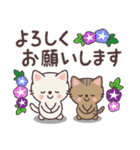 ねこたちの夏スタンプ（個別スタンプ：17）