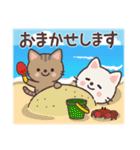 ねこたちの夏スタンプ（個別スタンプ：31）