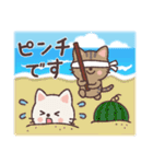 ねこたちの夏スタンプ（個別スタンプ：32）