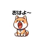 タマラン！柴犬祭り1（個別スタンプ：4）