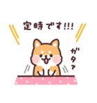 ころころ柴犬 お仕事！（個別スタンプ：7）