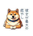 日常用柴犬彼氏【カップル・連絡】（個別スタンプ：28）