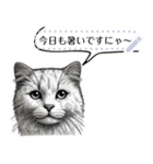 自由に伝える24匹の猫たち（個別スタンプ：8）