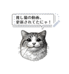 自由に伝える24匹の猫たち（個別スタンプ：14）