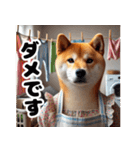 柴犬母さん（個別スタンプ：10）