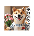 柴犬母さん（個別スタンプ：13）