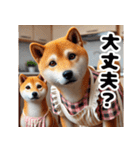 柴犬母さん（個別スタンプ：17）