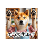 柴犬母さん（個別スタンプ：24）