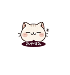 ふわふわ猫ちゃんスタンプ達（個別スタンプ：8）