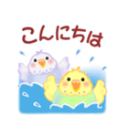 仲良しインコさん「夏」（個別スタンプ：3）