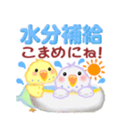 仲良しインコさん「夏」（個別スタンプ：15）