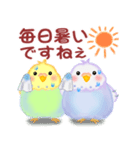 仲良しインコさん「夏」（個別スタンプ：17）