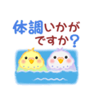 仲良しインコさん「夏」（個別スタンプ：35）