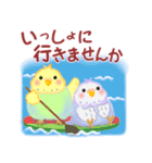 仲良しインコさん「夏」（個別スタンプ：36）